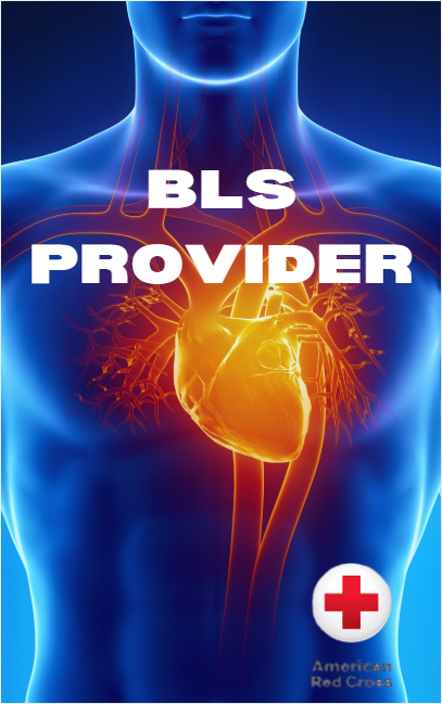BLS Provider Course